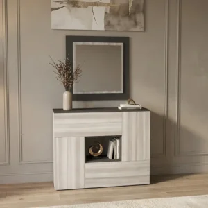 مدخل وخزانة لون رمادي درجتين 802